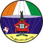 wappen_-_fllehrz_f-4f_-_inst-elo_-_te-flugausruestung.jpg