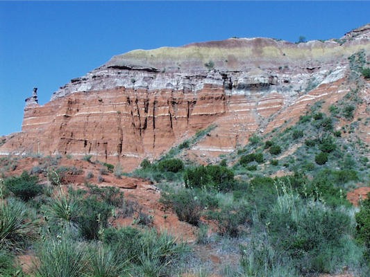 15.palodurocanyon_(archiv_wendelmann).jpg