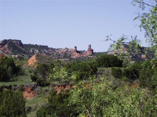 16.palodurocanyon_(archiv_wendelmann).jpg